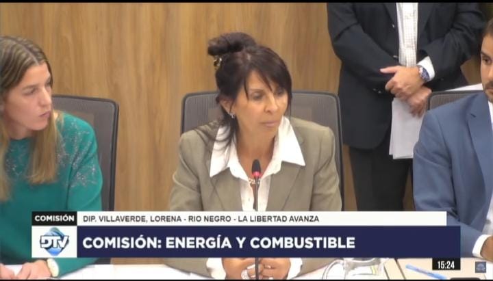 Villaverde presidirá la Comisión de Energía y Combustibles en Diputados