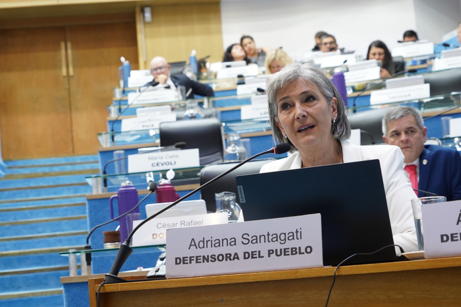 La Defensora del Pueblo presentó su informe anual 2023/2024 en la Legislatura