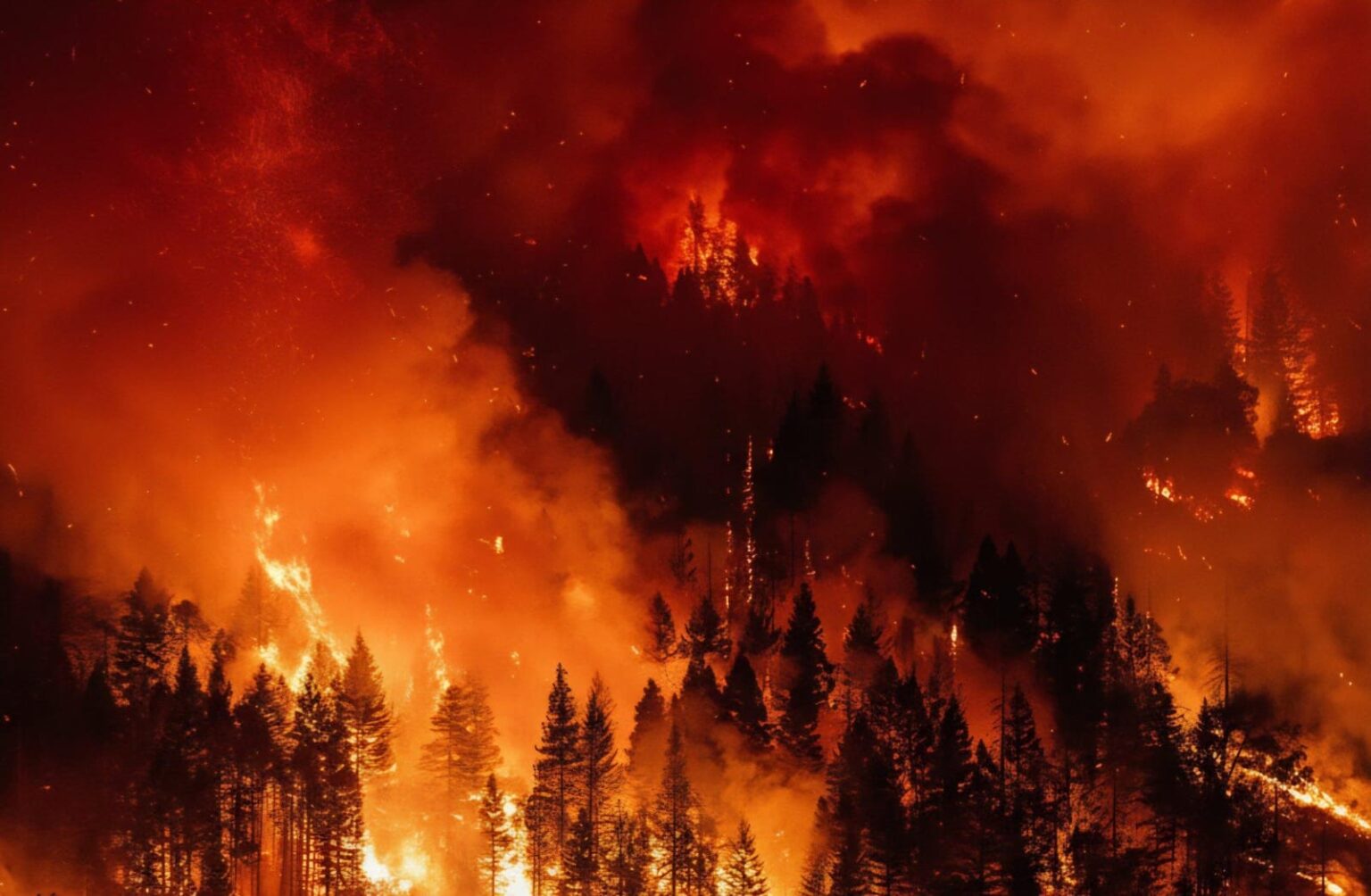 IMG-20260114-WA0044-1536x1004