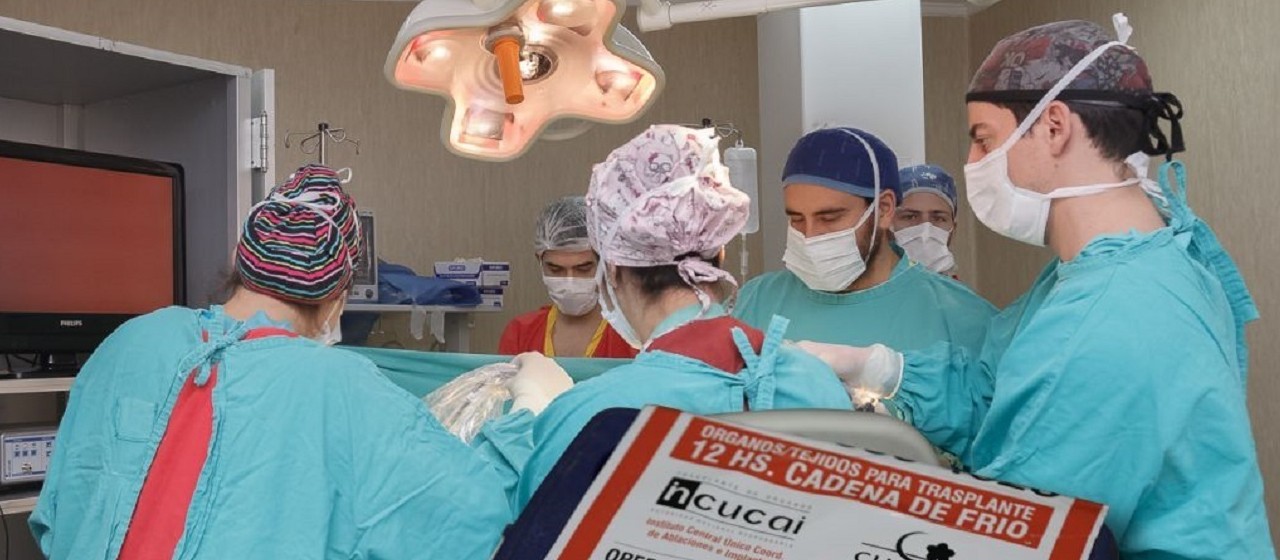 Proponen usar las boletas de servicios para promover la donación de órganos, tejidos y sangre