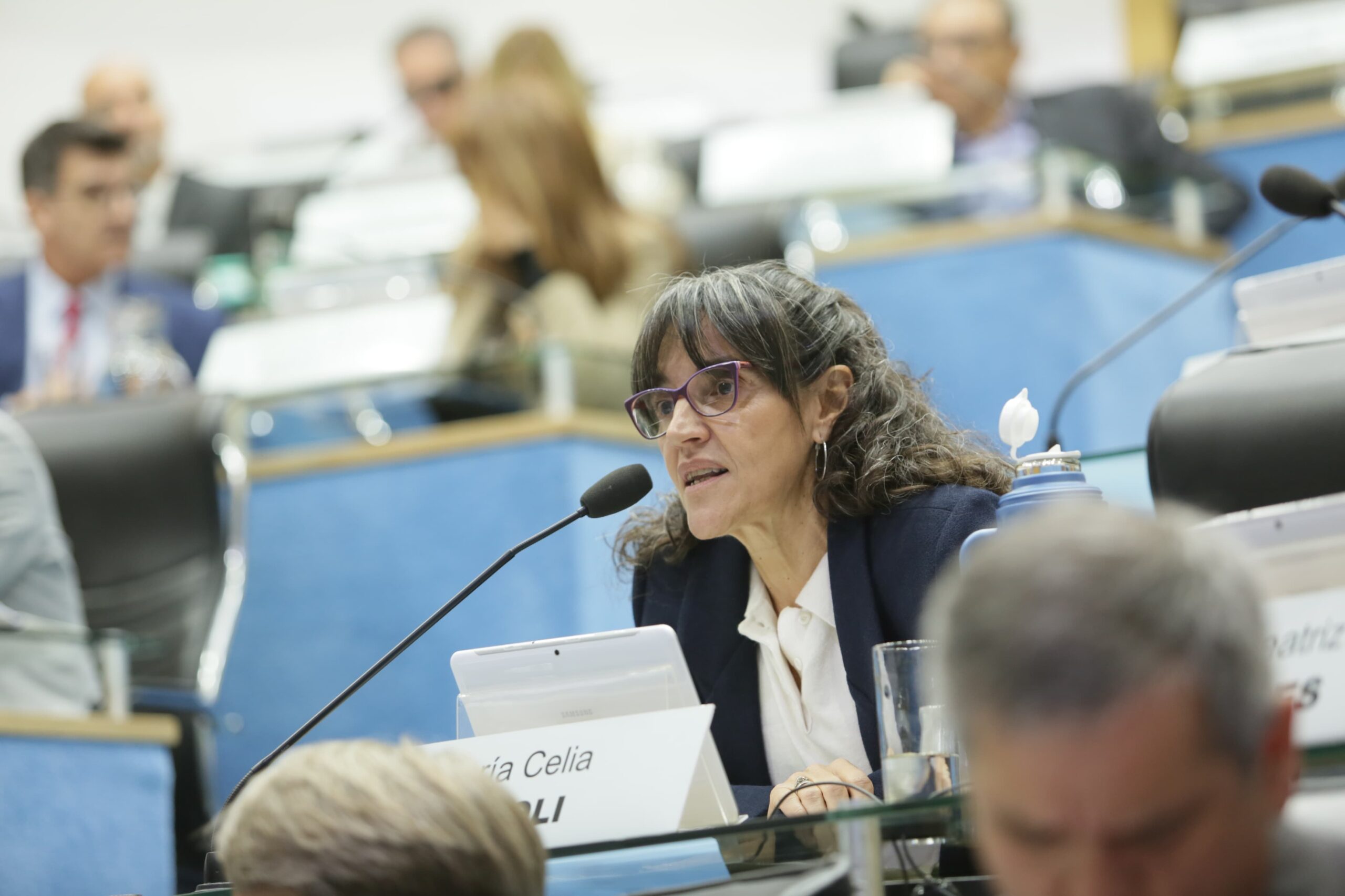 Cévoli impulsa una ley para combatir la discriminación en Río Negro