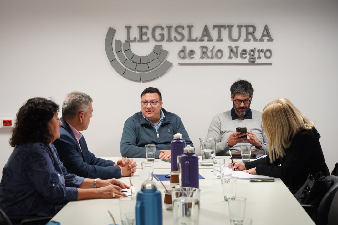 Comisión Acusadora: quedó conformada la nueva integración para el período legislativo 2026