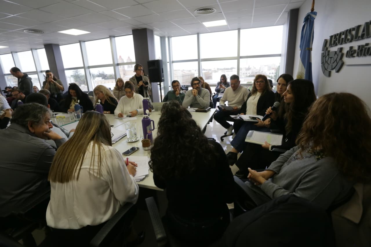 Extenso debate en comisiones por cierres de escuelas y de residencias de Educación 