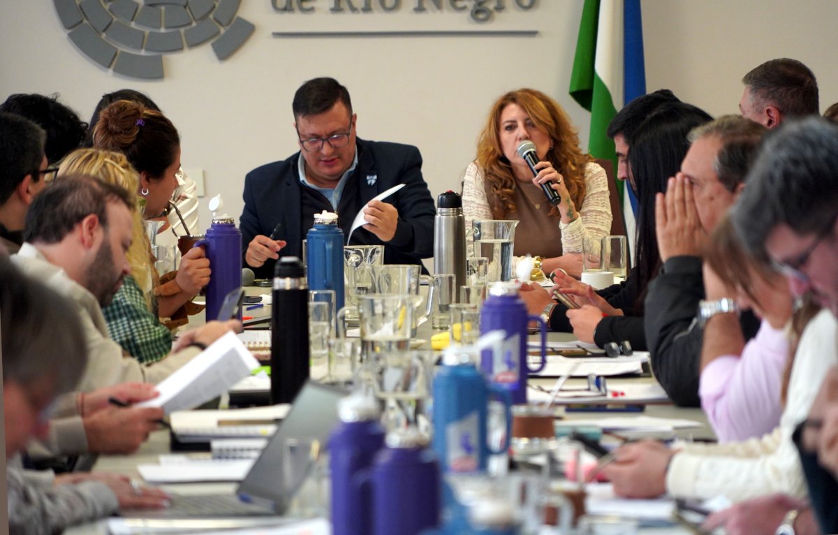 El pase a planta permanente en el Ejecutivo fue avalado en Comisiones