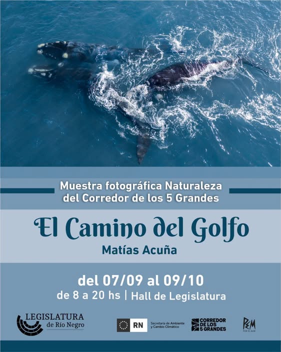 “El Camino del Golfo” abrió sus puertas en la Legislatura y exhibe la riqueza natural de la costa rionegrina