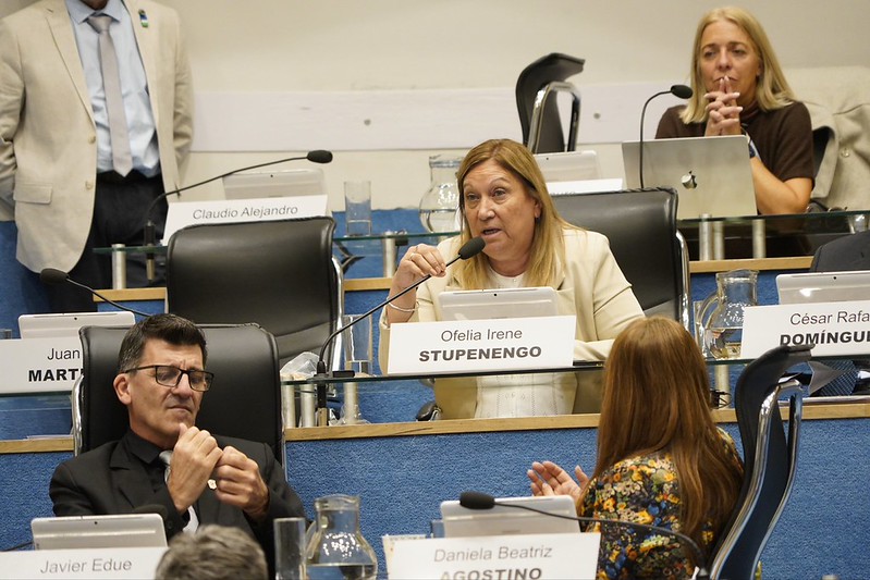 “Las Malvinas son Argentinas”: los carteles que llegarán a organismos públicos