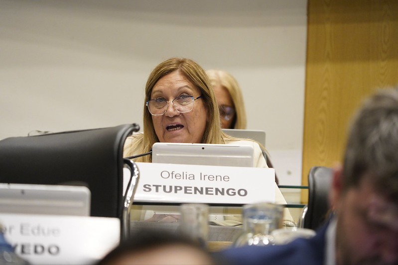Río Negro tendrá el Día de las Madres de Malvinas: la historia de Anita Insaurralde