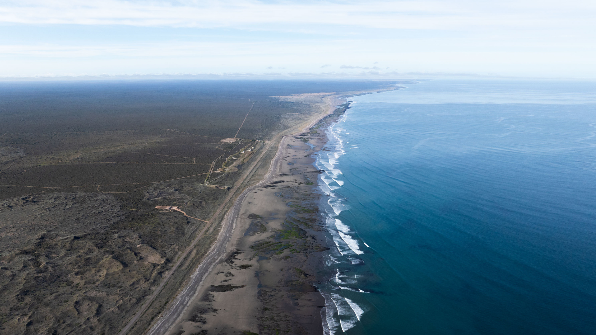 Impulsan la creación del “Corredor de los Cinco Grandes” en el Golfo San Matías